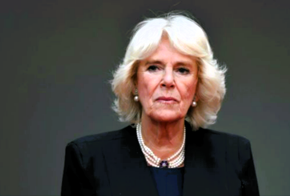 Königin Camila tobt vor Wut! Prinz Harrys Besuch beim krebskranken Vater hinterlässt Spuren!