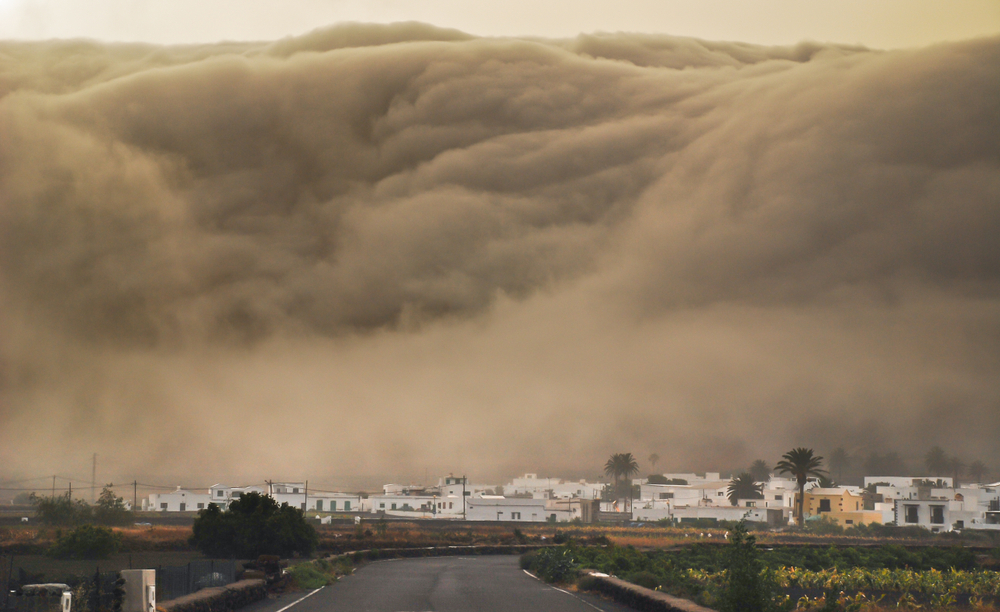 Giant Wave Sweeps Several Tourists into the Sea! Spanish Vacation Island Turns Nightmarish